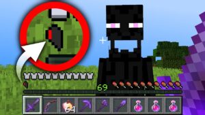 Minecraft, But Your Health Divides Every Time You Take Damage…