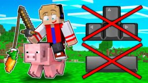 NÃO PODE ANDAR NO MINECRAFT !