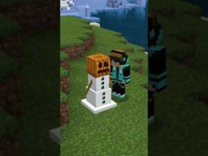 Tips & Tricks for your Minecraft Survival World